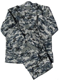 icu10s.jpg (59414 bytes)