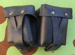 np1fs.jpg (4041 bytes)