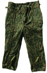 r70ps.jpg (5870 bytes)