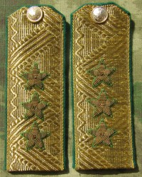 rgsb12s.jpg (51573 bytes)