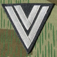 rse555s.jpg (2851 bytes)