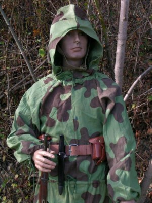 scs1abs.jpg (6326 bytes)