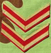 ssr4s.jpg (3973 bytes)