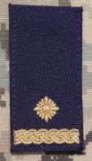 ukngsb2s.jpg (55030 bytes)