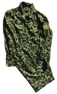 vi2s.jpg (5071 bytes)