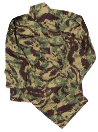 afgca1s.jpg (50963 bytes)